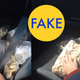 Illustration for article titled 69 Viral Images From 2016 That Were Totally Fake